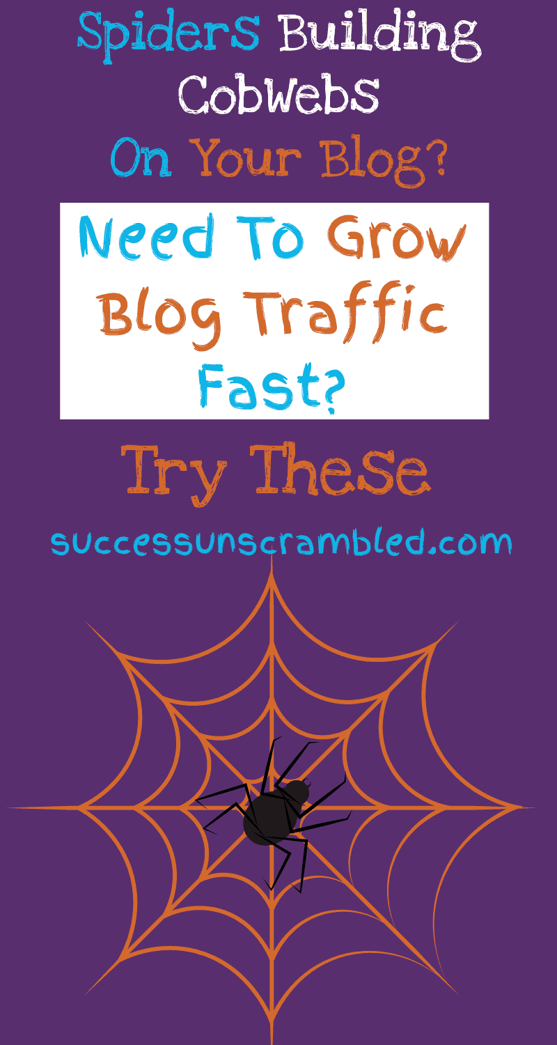 Are spiders building cobwebs on your blog? Are you stuck in a rut and need to grow your blog traffic? I was in your shoes 10 years ago and tried many normal and unconventional methods to get traffic. Check out my shortlist.