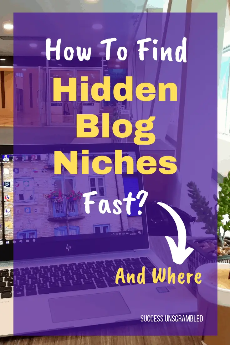 Find Hidden Blog Niches Fast