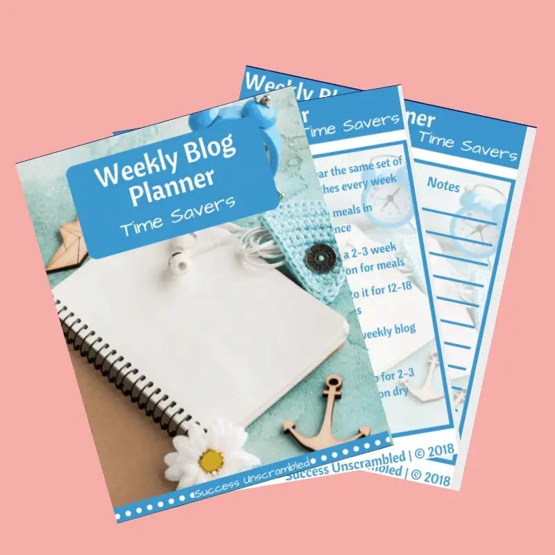 Weekly Blog Planner time savers template - sale item - pink