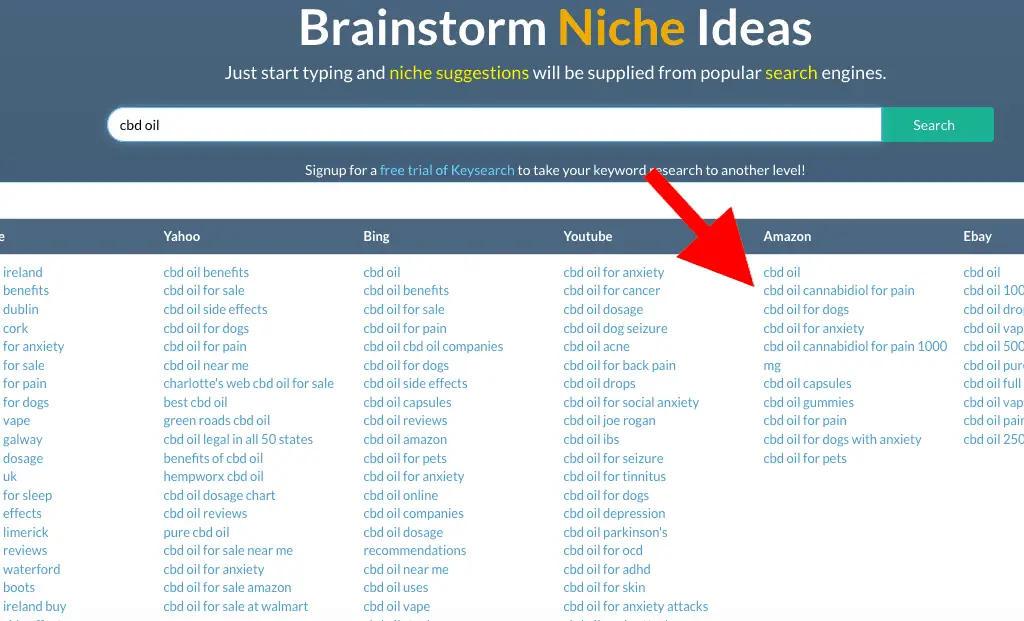 Brainstorm Niche Ideas