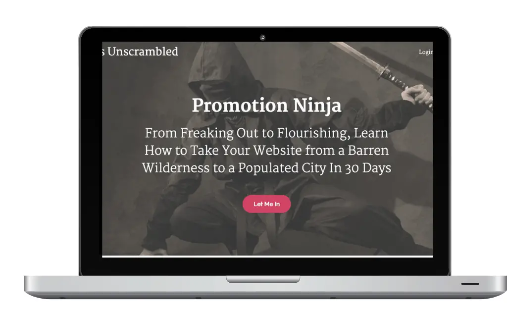 Promotion Ninja on laptop