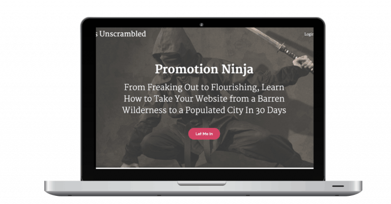 Promotion Ninja on laptop