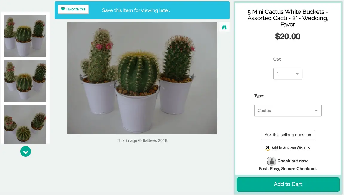 Mini cactus white buckets - Artfire