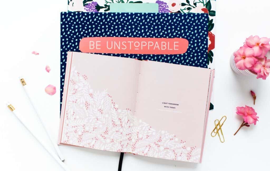 pink and blue journals