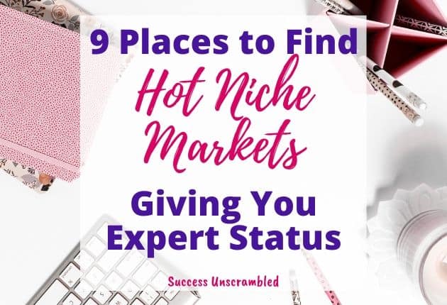 hot niche markets, hot niche ideas, hot blog niches, trending niche topics, popular niche topics - 630x430