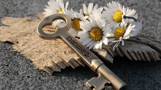 a key next to a flowers