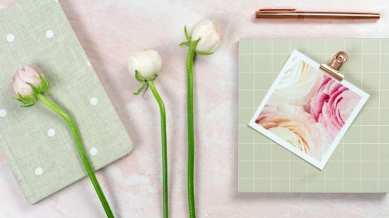 three roses next to a photo of a flower