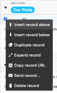 Airtable record options