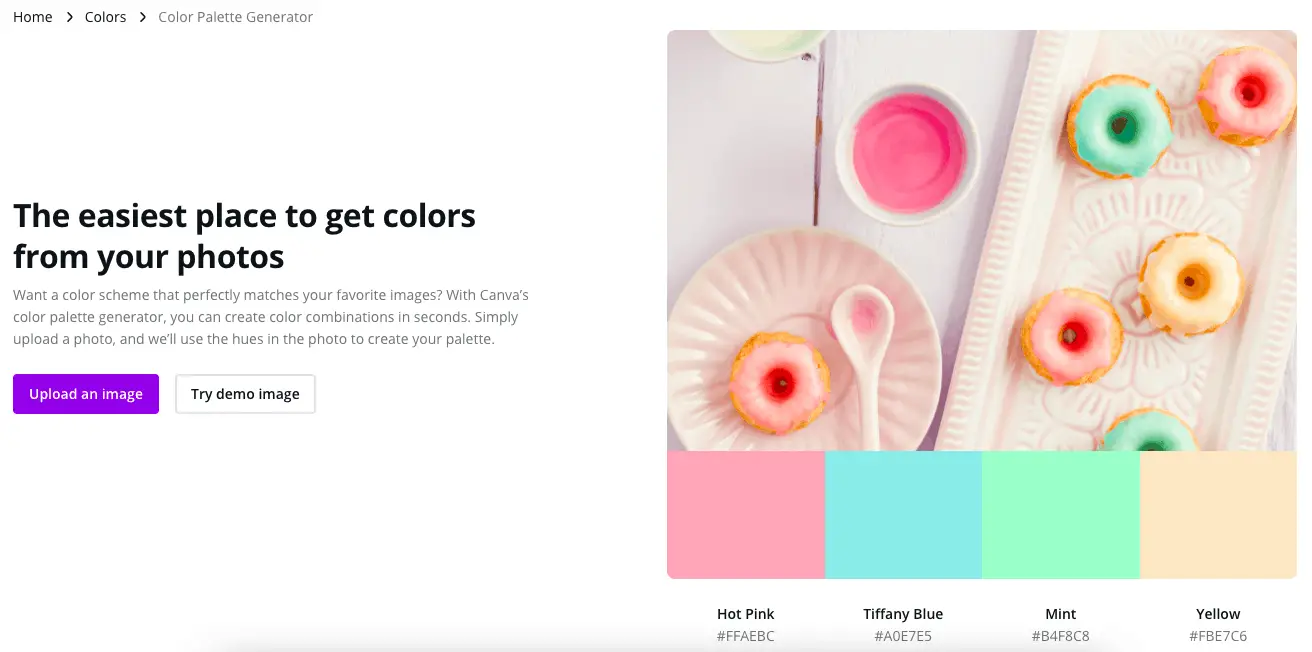 a photo of the Canva colour palette feature