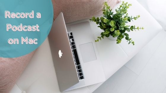 photo of a Mac on a desk next to a plant