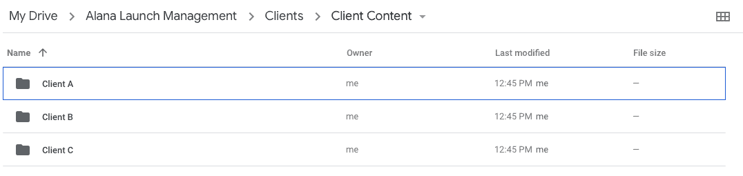 Alana Launch Management Google Drive