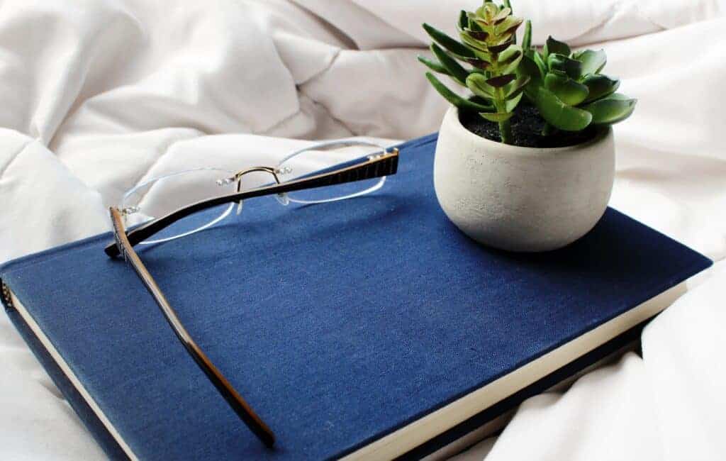 a small indoor plant and an eyeglasses on a blue hardcover notebook