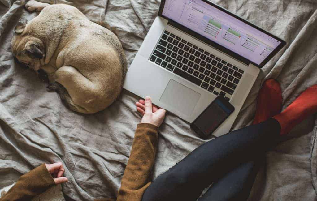 a photo of a laptop next to a sleeping dog